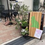 Green Cat Cafe (グリーンキャットカフェ・Englishカフェ)本日営業します。