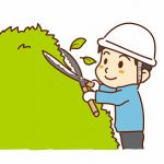 樹木の散髪