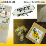 大阪学院大学の学生による特別販売会が実施されます