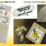 大阪学院大学の学生による特別販売会が実施されます